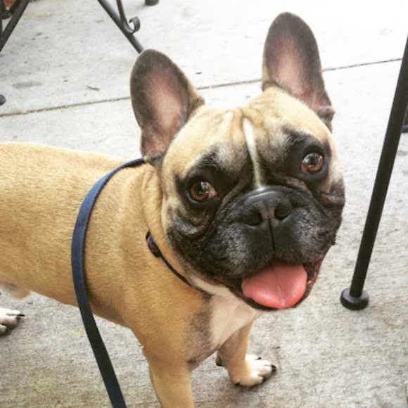 Meet your Posher, Ashley - Picture 1 of 1